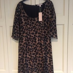 Black & Gold Leopard Shift Dress